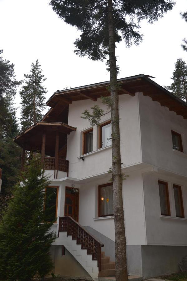 Вила Пенчеви, Кк. Цигов Чарк Exterior foto